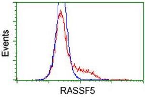 HEK293T cells transfected with either RC203854 overexpress plasmid (Red) or empty vector control plasmid (Blue) were immunostained by anti-RASSF5 antibody (ABIN2454290), and then analyzed by flow cytometry. (RASSF5 Antikörper)