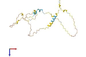 MAP6D1 Protein (AA 1-199) (His tag)