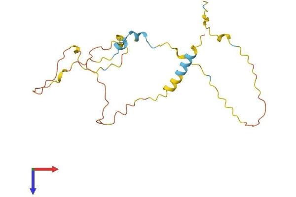 MAP6D1 Protein (AA 1-199) (His tag)