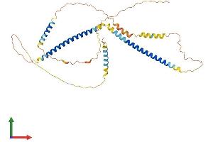 Protein Structure (PS) image for Spermatogenic Leucine Zipper 1 (SPZ1) (AA 1-378) protein (His tag) (ABIN7560421)