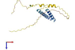 SPCS1 Protein (AA 1-161) (His tag)