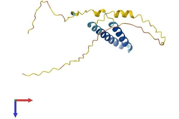 SPCS1 Protein (AA 1-161) (His tag)