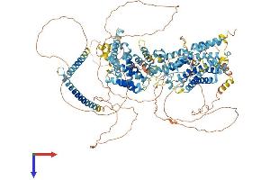 SREBF2 Protein (AA 1-1141) (His tag)