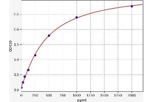 Neurotrophin 3 ELISA Kit