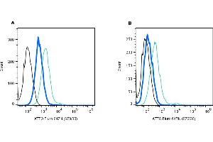 Establishing the effectiveness of the Rabbit IgG Isotype Control-ATTO Fluor-647N (ABIN7582045), alongside cell surface detection of KCNQ1 (extracellular) by direct flow cytometry in a live intact mouse J774 macrophage cell line.
