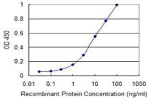 Detection limit for recombinant GST tagged CDC20B is 0. (CDC20B Antikörper  (AA 416-515))