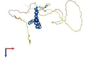 SOX15 Protein (AA 1-233) (His tag)