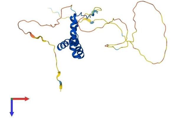 SOX15 Protein (AA 1-233) (His tag)