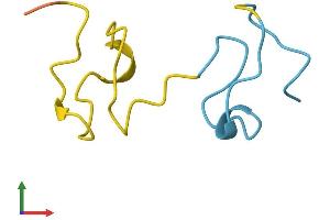 Protein Structure (PS) image for Metallothionein 4 (MT4) (AA 1-62) protein (Fc Tag) (ABIN7549564)