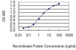 Detection limit for recombinant GST tagged NFIX is 0. (NFIX Antikörper  (AA 291-390))