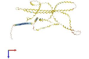 COL23A1 Protein (AA 1-532) (His tag)