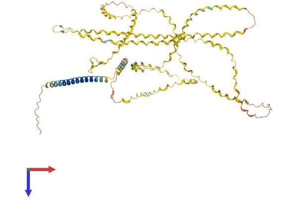 COL23A1 Protein (AA 1-532) (His tag)