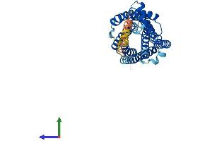 Protein Structure (PS) image for Purinergic Receptor P2Y, G-Protein Coupled, 14 (P2RY14) (AA 1-338) protein (His tag) (ABIN7550337)
