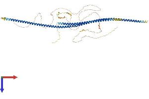 LZTS2 Protein (AA 1-669) (His tag)