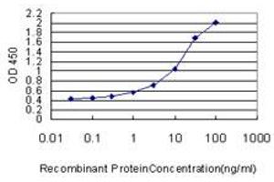 Detection limit for recombinant GST tagged FOXC2 is approximately 0. (FOXC2 Antikörper  (AA 421-501))