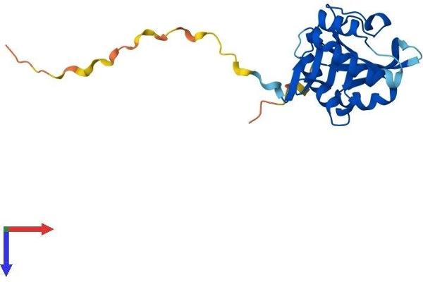 AANAT Protein (AA 1-207) (His tag)