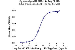 Immobilized Cynomolgus KLKB1, His Tag at 2 μg/mL (100 μL/well) on the plate. (KLKB1 Protein (AA 20-638) (His tag))