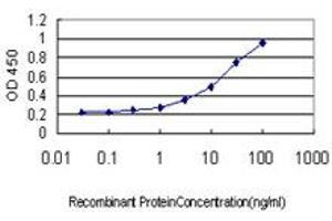 Detection limit for recombinant GST tagged RRAS is approximately 0. (R-Ras Antikörper  (AA 109-218))