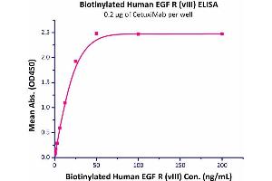 Immobilized CetuxiMabat 2 μg/mL (100 μl/well) can bind Biotinylated Human EGFRvIII (Cat# EGR-H82E0) with a linear range of 0.