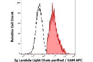 Separation of human Ig Lambda light chain positive lymphocytes (red-filled) from Ig Lambda light chain negative lymphocytes (black-dashed) in flow cytometry analysis (surface staining) of human peripheral whole blood stained using anti-human Ig Lambda Light Chain (1-155-2) purified antibody (concentration in sample 4 μg/mL, GAM APC). (Lambda-IgLC Antikörper)
