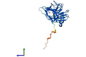 AlphaFold protein structure predicition of Human Recombinant RFPL4A Protein, UniprotID A6NLU0