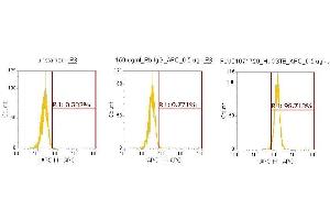 Flow Cytometry (FACS) image for anti-Cystatin B (Stefin B) (CSTB) (AA 1-98) antibody (APC) (ABIN5565349)