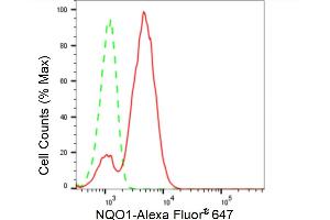 Flow cytometric analysis of NQO1 expression in HT- cells using NQO1 antibody (ABIN7800954), 1:2,000). (Rekombinanter NADH Quinone Dehydrogenase 1 Antikörper)