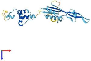 KCTD11 Protein (AA 1-232) (His tag)