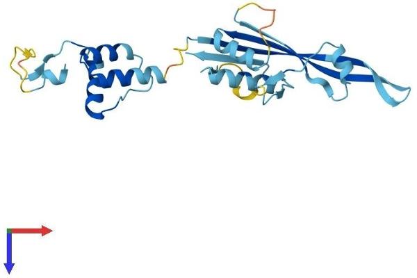 KCTD11 Protein (AA 1-232) (His tag)