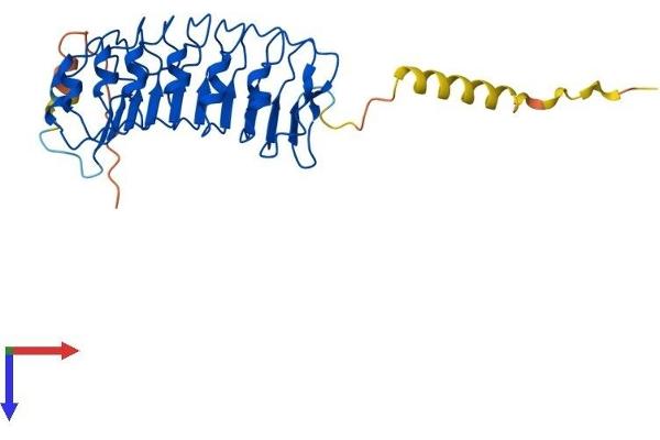 LRRC10 Protein (AA 1-277) (His tag)