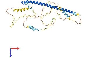 AP1AR Protein (AA 1-302) (His tag)