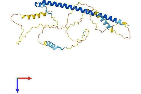 AP1AR Protein (AA 1-302) (His tag)