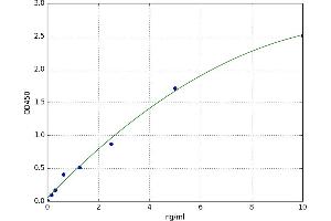 Hyaluronan Synthase 2 (HAS2) ELISA Kit