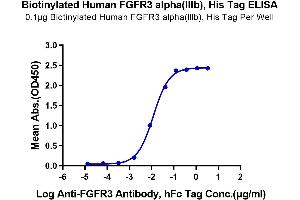 Immobilized Biotinylated Human FGFR3 alpha(lllb) at 1 μg/mL (100 μL/Well) on the plate.