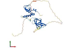 AlphaFold protein structure predicition of Human Recombinant BMI1 Protein, UniprotID P35226