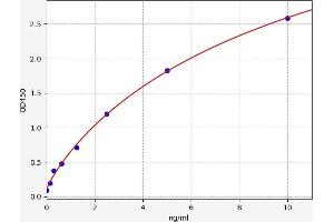 Receptor tyrosine-protein kinase erbB-2 (ErbB2/Her2) ELISA Kit