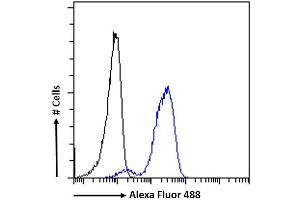 Flow Cytometry (FACS) image for anti-IL2-Inducible T-Cell Kinase (ITK) (Internal Region) antibody (ABIN1589997)