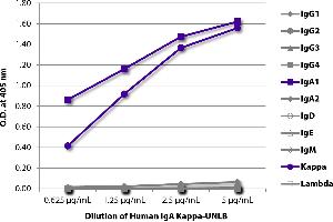 ELISA plate was coated with serially diluted Human IgA Kappa-UNLB and quantified. (Human IgA Isotyp-Kontrolle)