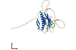 Protein Structure (PS) image for HORMA Domain Containing 2 (HORMAD2) (AA 1-307) protein (His tag) (ABIN7548368)