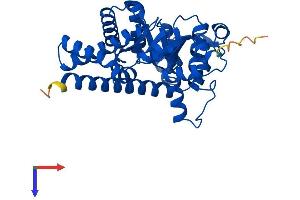TALDO1 Protein (AA 1-337) (His tag)