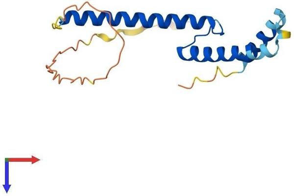 TWIST2 Protein (AA 1-160) (His tag)