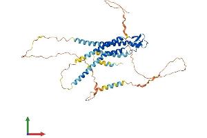 Protein Structure (PS) image for Gap Junction Protein, alpha 3, 46kDa (GJA3) (AA 1-435) protein (His tag) (ABIN7546823)