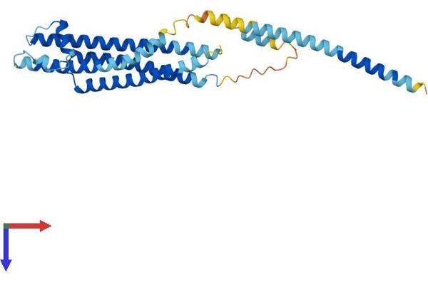 STX3 Protein (AA 1-289) (His tag)