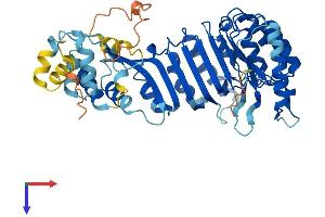 AlphaFold protein structure predicition of Human Recombinant PRAMEF4 Protein, UniprotID O60810