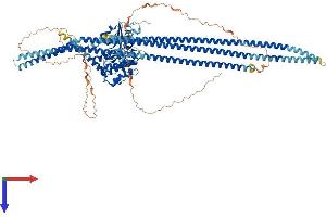 TAO Kinase 1 (TAOK1) (AA 1-1001) protein (His tag)