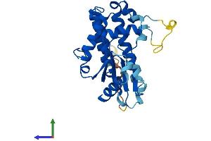 Protein Structure (PS) image for Deoxycytidine Kinase (DCK) (AA 1-260) protein (His tag) (ABIN7547012)