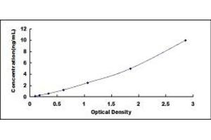 Typical standard curve (NNMT ELISA Kit)