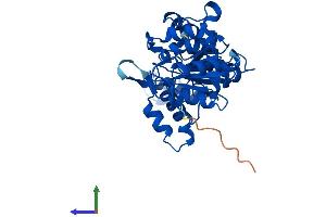 AlphaFold protein structure predicition of Mouse Recombinant Pgp Protein, UniprotID Q8CHP8 (PGP Protein (AA 1-321) (His tag))