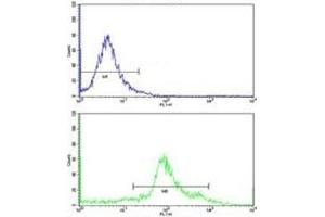 Flow Cytometry (FACS) image for anti-Argininosuccinate Synthase 1 (ASS1) (AA 192-221) antibody (ABIN3030022)