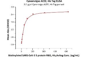 Immobilized Cynomolgus ACE2, His Tag (ABIN6952617) at 2 μg/mL (100 μL/well) can bind Biotinylated SARS-CoV-2 S protein RBD, His,Avitag (ABIN6952456) with a linear range of 2-78 ng/mL (QC tested).